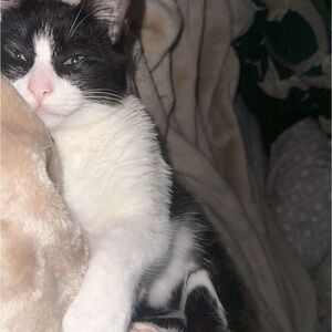 Meet your Posher, Paola